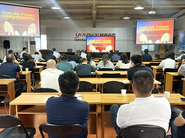 以案為鑒 警鐘長鳴｜公司紀委組織開展黨紀學(xué)習(xí)教育警示教育會