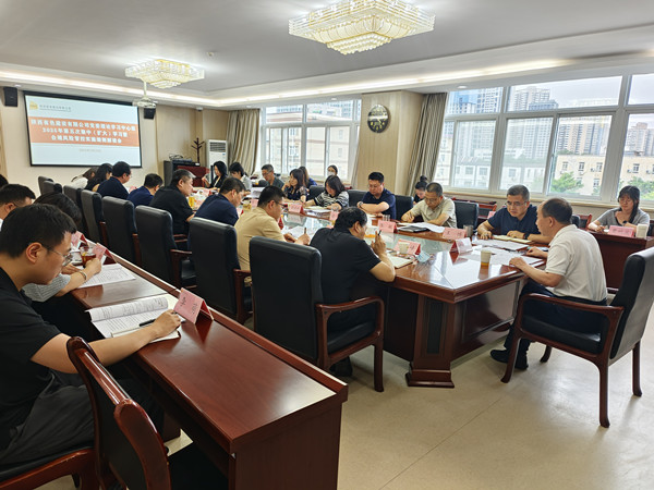 國企改革深水區里的“有色陜建答卷”